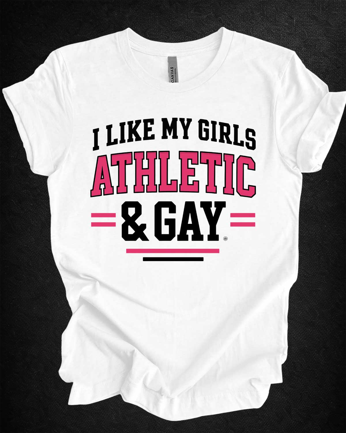 I Like My Girls Athletic & Gay Tee
